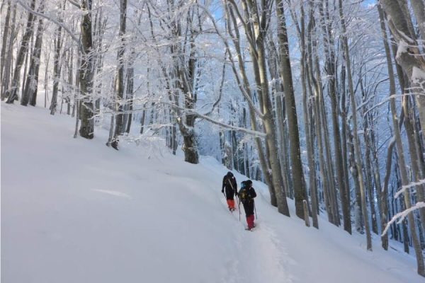 Ваучер за преход със снегоходки