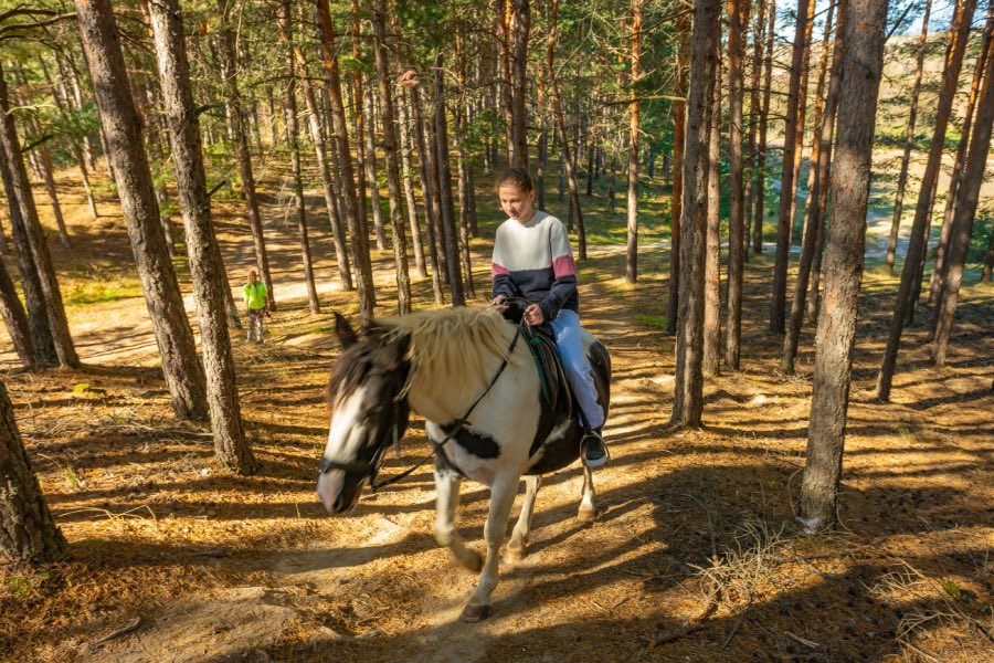 Нови пътеки