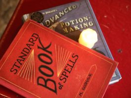 Влез в света на Хогуортс