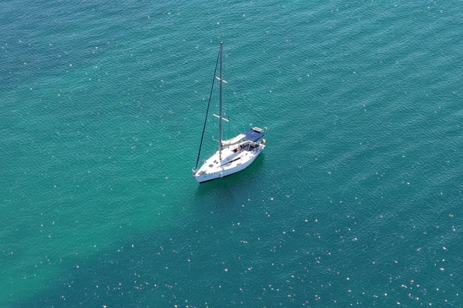 Плавай из Черно море