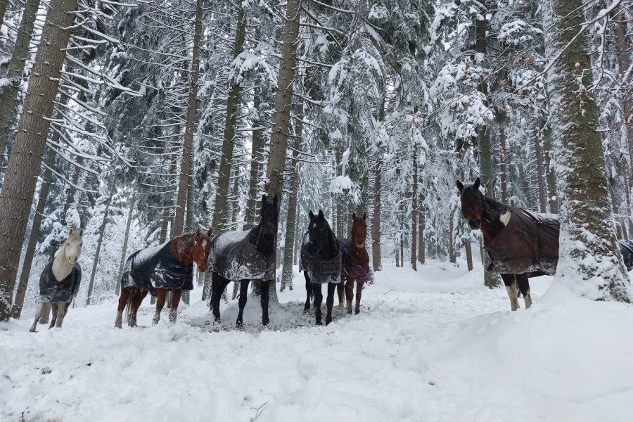 През всеки сезон