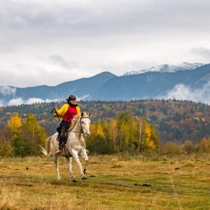 Конна езда в Боровец