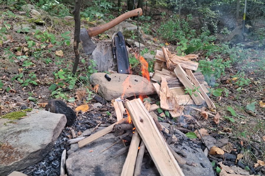 Сред дивата природа