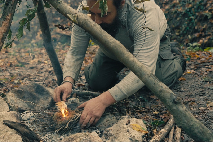 Ден на открито