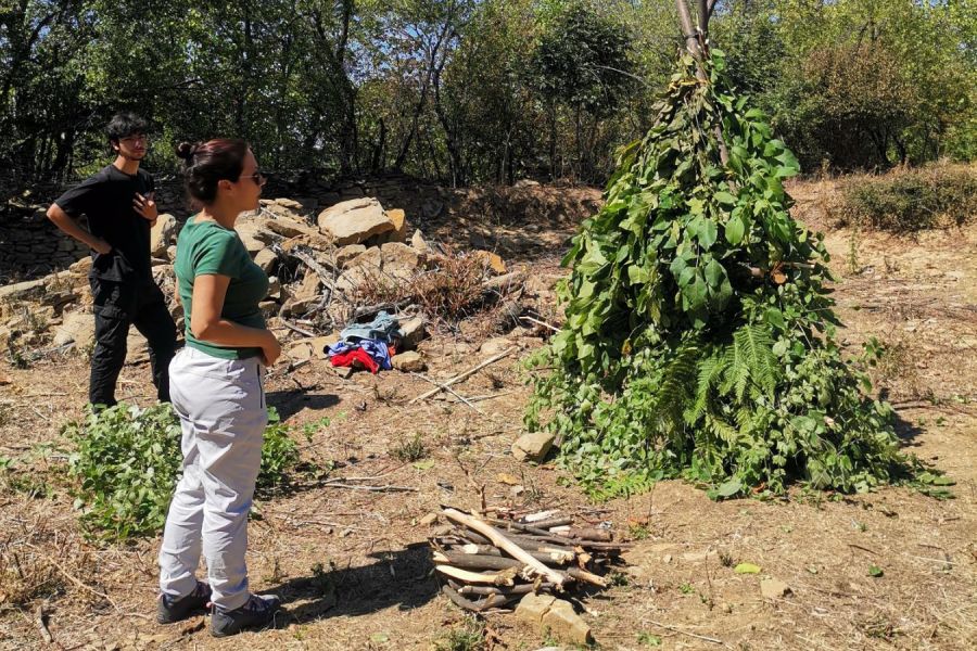Влез в приключението