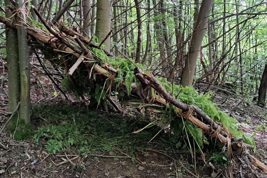 Бушкрафт край Трявна