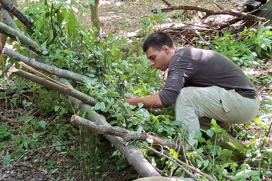 Умения за оцеляване