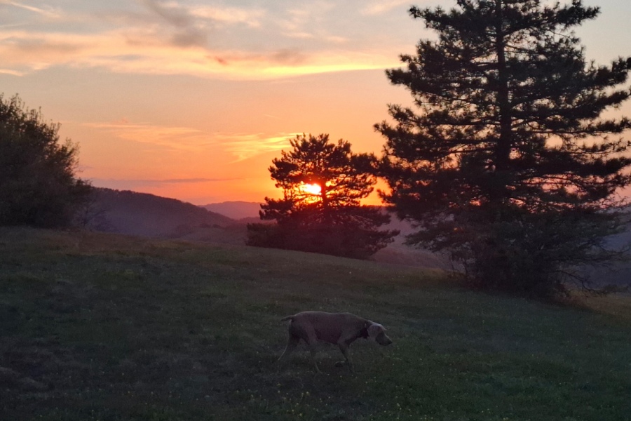 Преход с планински водач