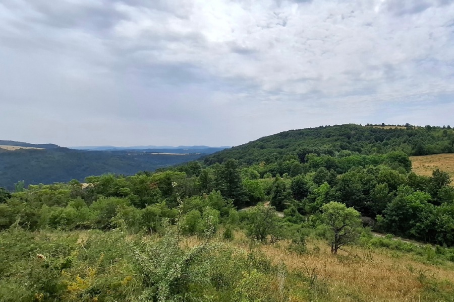 Виж Балкана