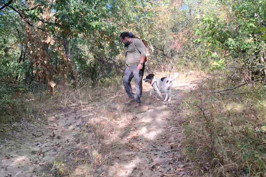 Планинско приключение