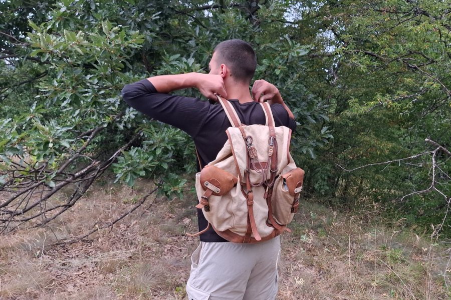 Целодневна разходка