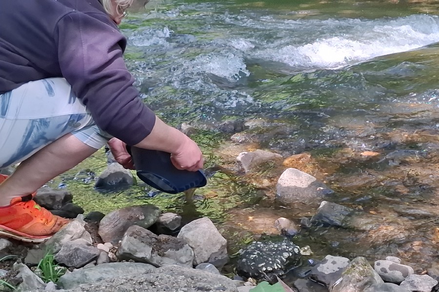 Промиване на злато