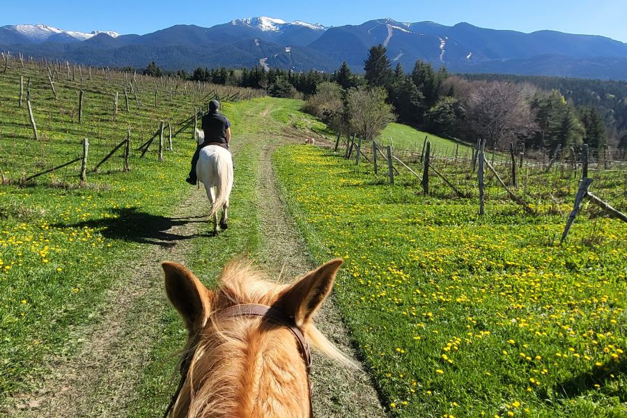 Приключение в Рила
