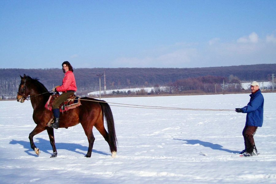 Скиджоринг с кон