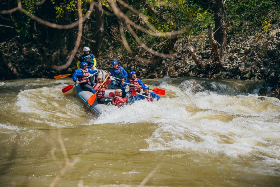 Новогодишен подарък