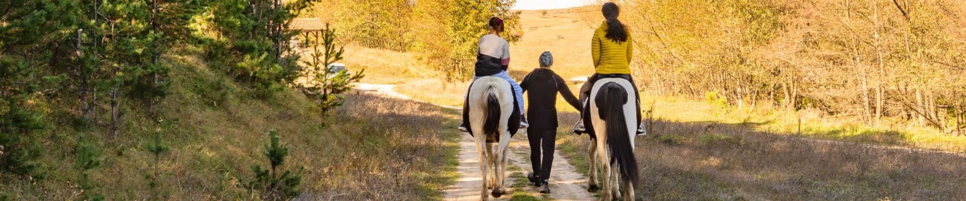 Нощувка и езда в Кърпачево