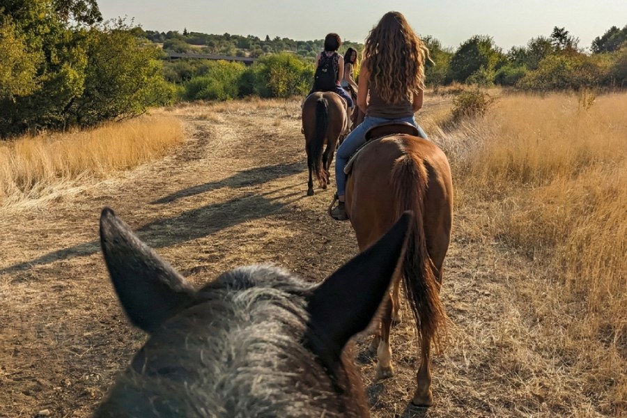 Езда за двама