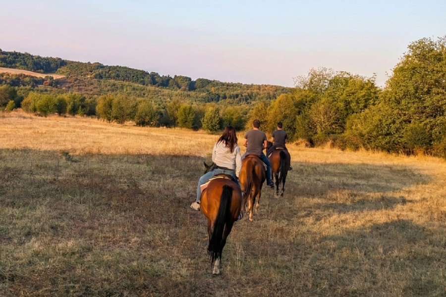 Разходка с кон