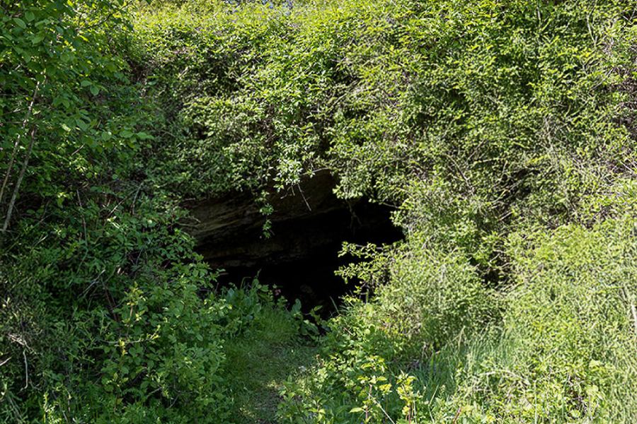 Преход с водач