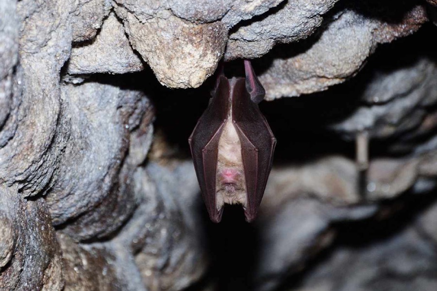 Подземни галерии