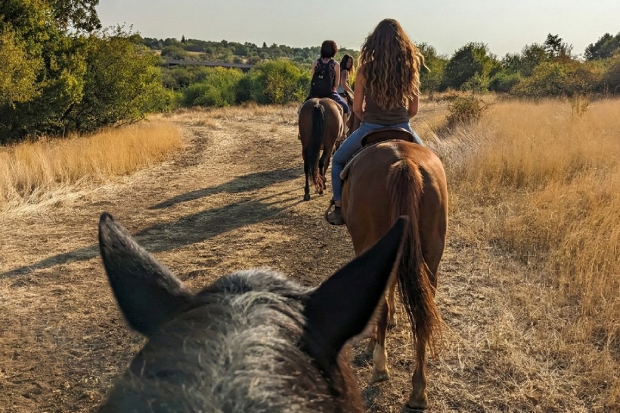 Ваучер за приключение