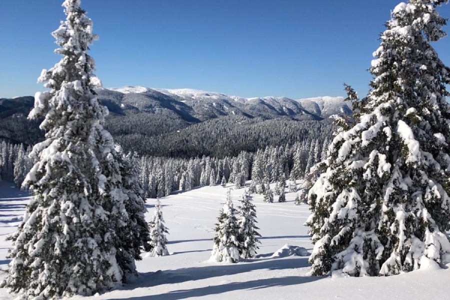 Зимни спортове