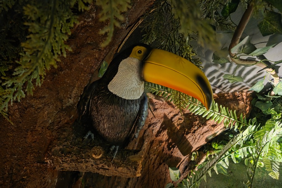 Парти в ескейп стая