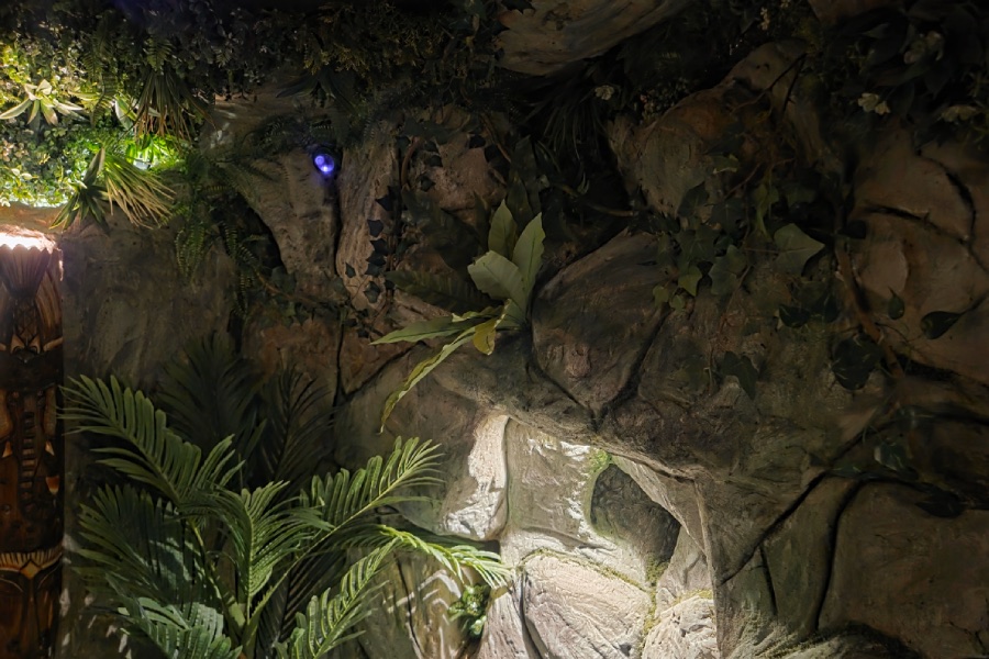 Организирай незабравим празник