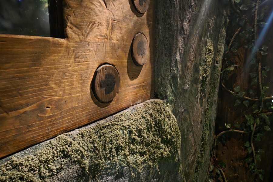 За малкия рожденик