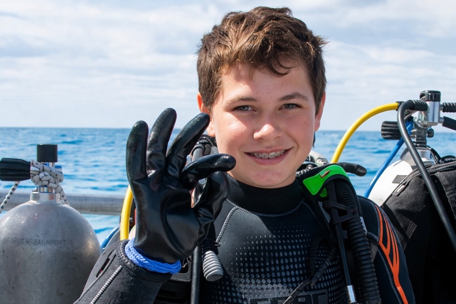 SDI сертификат