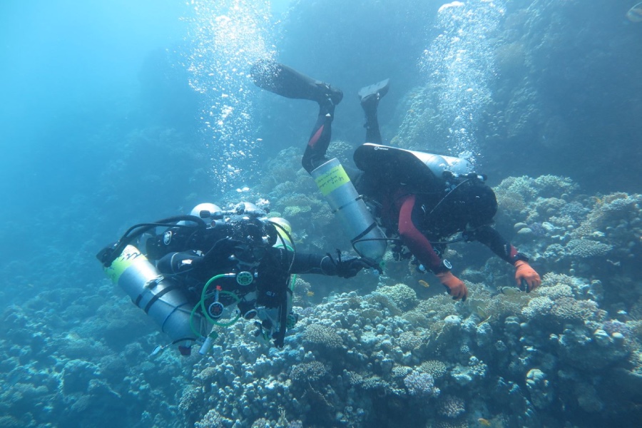 Гмуркане край Созопол