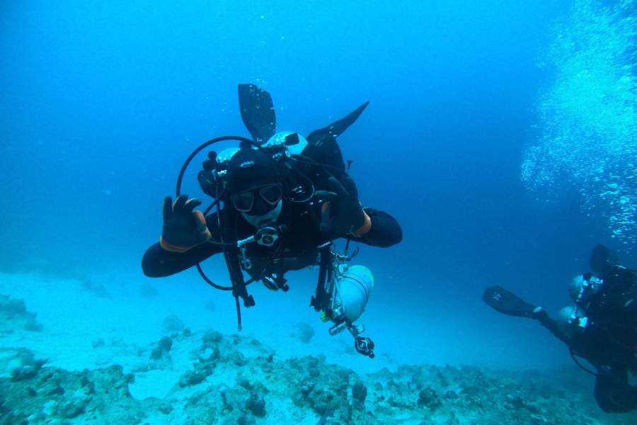 SDI сертификат