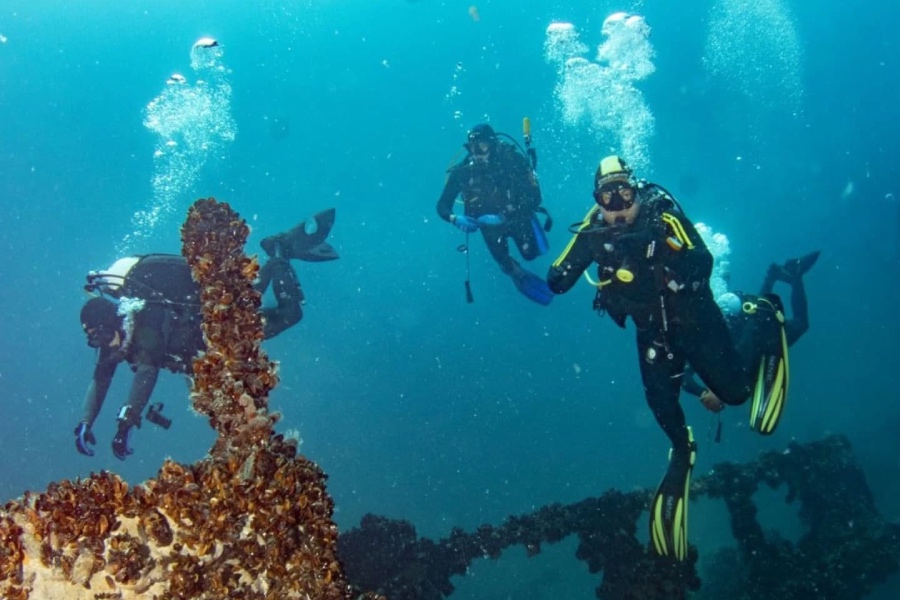 Курс по гмуркане