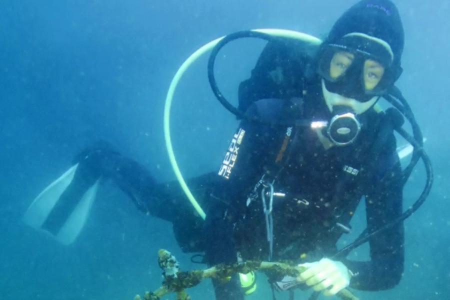 Open Water Diver